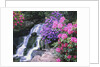 Waterfall in Crystal Springs Garden by Anonymous