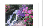 Waterfall in Crystal Springs Garden by Anonymous