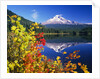 Autumn Leaves Growing Near Mount Hood and Trillium Lake by Anonymous