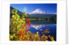 Autumn Leaves Growing Near Mount Hood and Trillium Lake by Anonymous