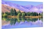 Lake Reflecting Trees Against Mountains by Anonymous