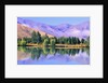 Lake Reflecting Trees Against Mountains by Anonymous