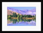 Lake Reflecting Trees Against Mountains by Anonymous