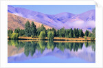 Lake Reflecting Trees Against Mountains by Anonymous