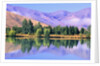 Lake Reflecting Trees Against Mountains by Anonymous