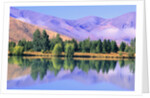 Lake Reflecting Trees Against Mountains by Anonymous