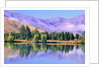 Lake Reflecting Trees Against Mountains by Anonymous