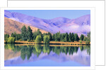 Lake Reflecting Trees Against Mountains by Anonymous
