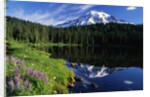 Reflection Lake and Mount Rainier by Anonymous