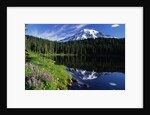 Reflection Lake and Mount Rainier by Anonymous