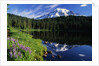 Reflection Lake and Mount Rainier by Anonymous