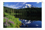 Reflection Lake and Mount Rainier by Anonymous