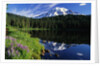 Reflection Lake and Mount Rainier by Anonymous