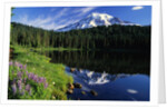 Reflection Lake and Mount Rainier by Anonymous