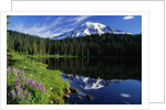 Reflection Lake and Mount Rainier by Anonymous