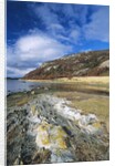 Rocks Along Shore by Anonymous