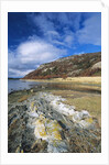 Rocks Along Shore by Anonymous