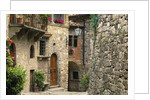 Tuscan Stone Houses by Anonymous