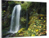 Lush Waterfall in Autumn by Anonymous
