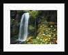 Lush Waterfall in Autumn by Anonymous