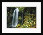 Lush Waterfall in Autumn by Anonymous
