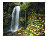 Lush Waterfall in Autumn by Anonymous