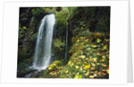 Lush Waterfall in Autumn by Anonymous
