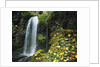 Lush Waterfall in Autumn by Anonymous