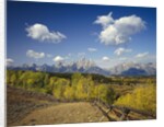 Fence Bordering Ranch Near the Teton Range by Anonymous