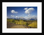 Fence Bordering Ranch Near the Teton Range by Anonymous