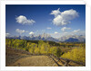 Fence Bordering Ranch Near the Teton Range by Anonymous