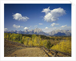 Fence Bordering Ranch Near the Teton Range by Anonymous