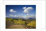 Fence Bordering Ranch Near the Teton Range by Anonymous