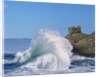 Wave Crashing on Rocky Coast by Anonymous
