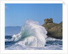 Wave Crashing on Rocky Coast by Anonymous