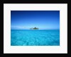 Sparkling Ocean and Tropical Island by Anonymous