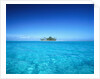 Sparkling Ocean and Tropical Island by Anonymous