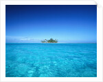 Sparkling Ocean and Tropical Island by Anonymous