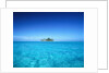 Sparkling Ocean and Tropical Island by Anonymous