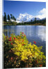 Flowers Growing at Edge of Mountain Lake by Anonymous