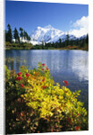 Flowers Growing at Edge of Mountain Lake by Anonymous