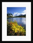 Flowers Growing at Edge of Mountain Lake by Anonymous