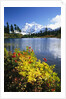 Flowers Growing at Edge of Mountain Lake by Anonymous