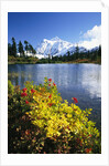 Flowers Growing at Edge of Mountain Lake by Anonymous