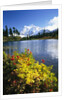 Flowers Growing at Edge of Mountain Lake by Anonymous