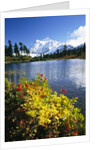 Flowers Growing at Edge of Mountain Lake by Anonymous