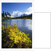Flowers Growing at Edge of Mountain Lake by Anonymous