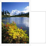 Flowers Growing at Edge of Mountain Lake by Anonymous