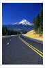 Highway Approaching Mt. Hood by Anonymous