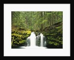 Waterfall Hiding in Lush Forest by Anonymous